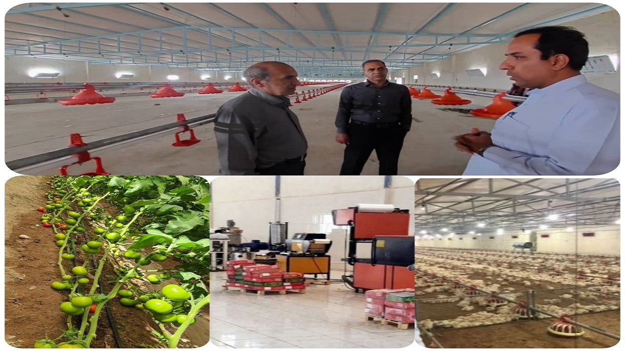 سرمایه‌گذاری یک هزار میلیارد ریالی در بخش کشاورزی خاش