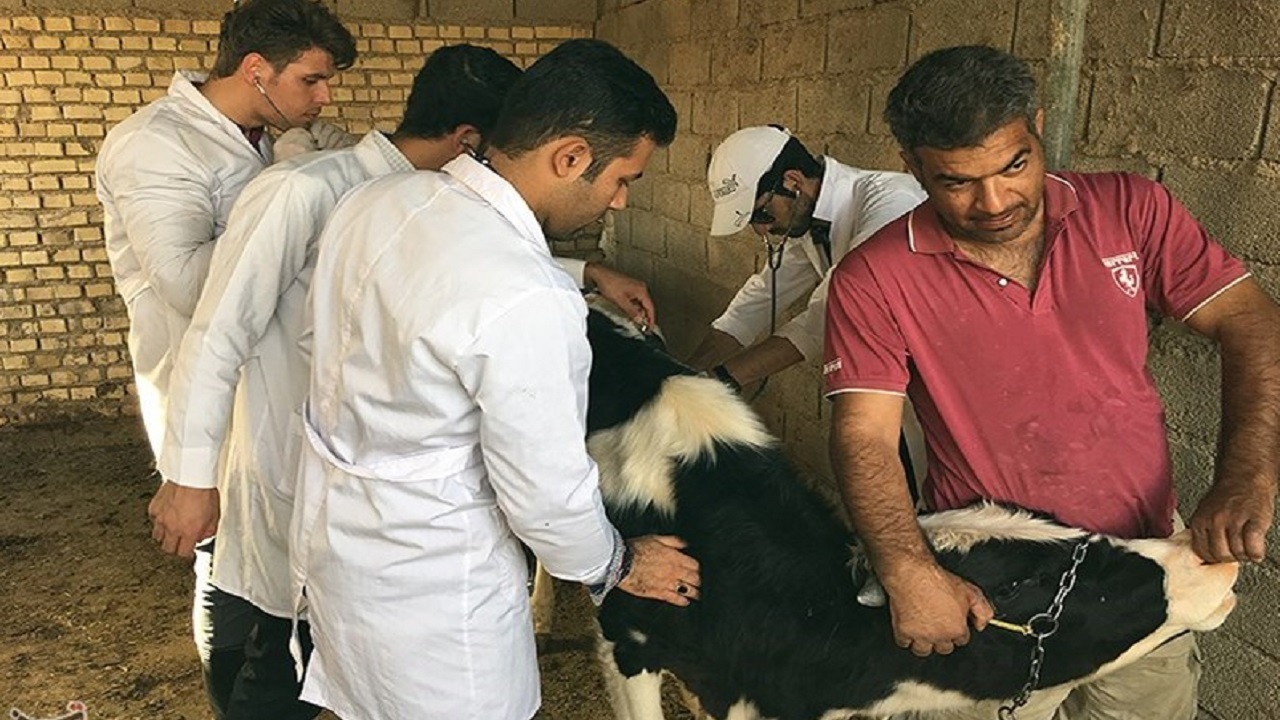 برگزاری اردوی جهادی دامپزشکی ویژه ۳۵ هزار راس دام سبک و سنگین در بندرگز