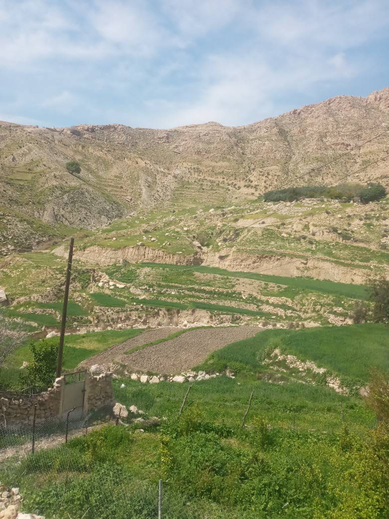 طبیعت بهاری رامهرمز