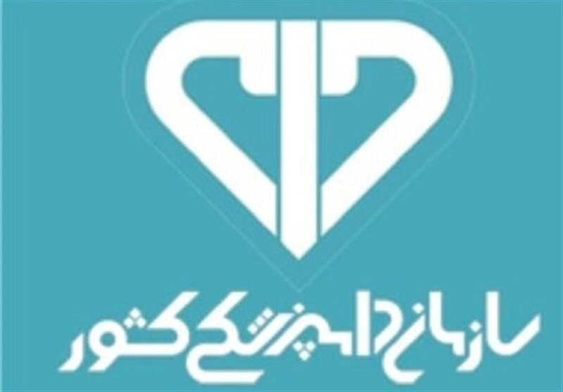 ۱۹۱ واحد غیر بهداشتی به مراجع قضایی معرفی شدند
