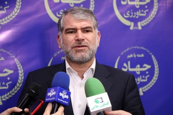 کمبودی در تامین مرغ منجمد وجود ندارد