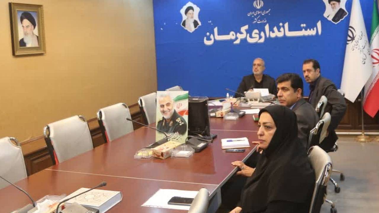 ارتباط ویدئو کنفرانس استاندار کرمان با وزیر اقتصاد