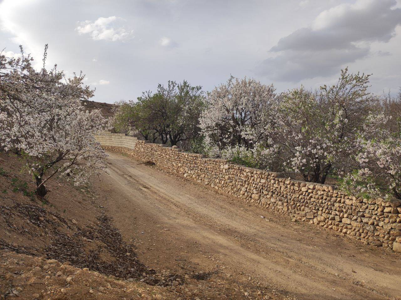 جاده روستایی