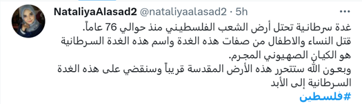 کامنت ها