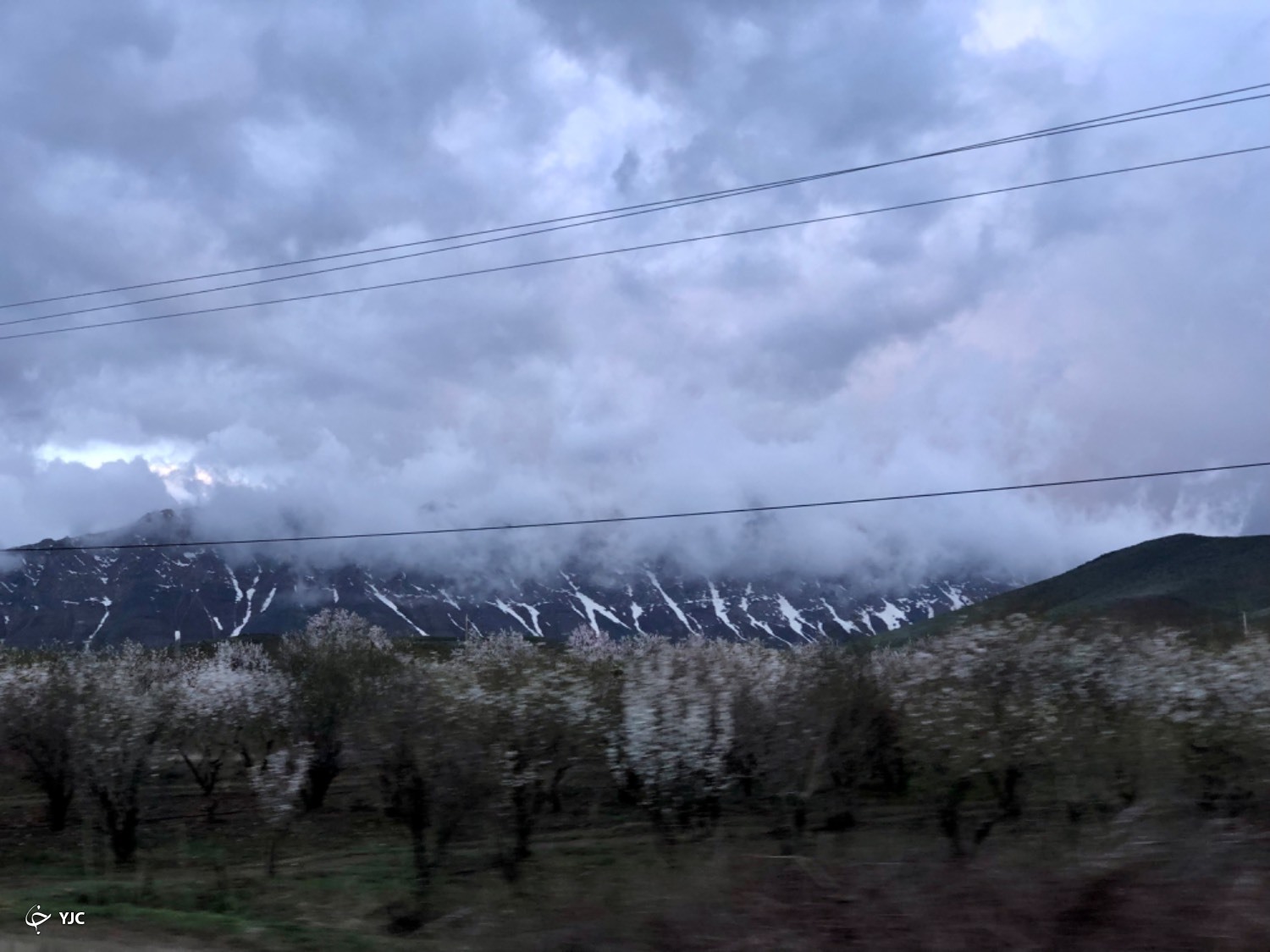 جلوه&zwnj;گری بهار و باران در لنز دوربین