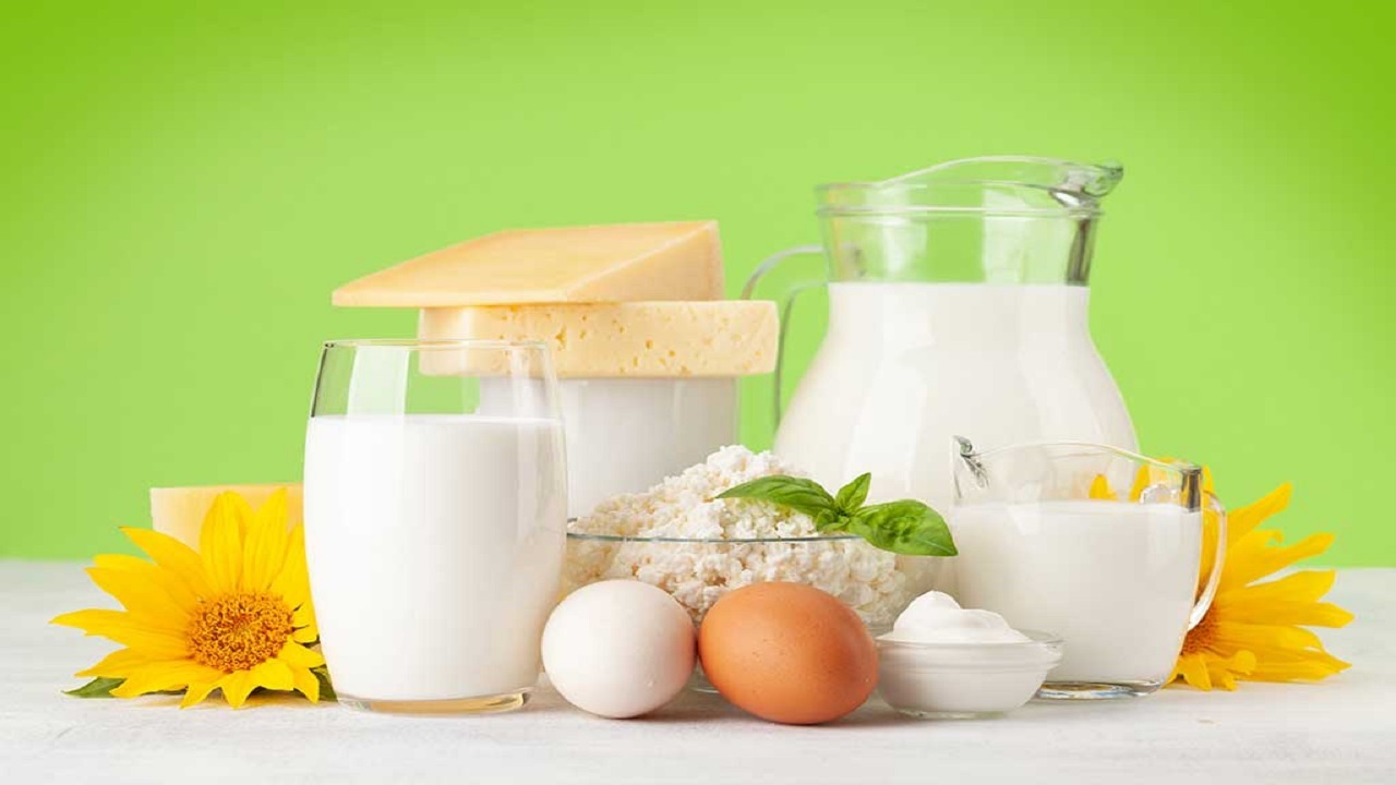 نقش شیر و لبنیات در بقای انسان