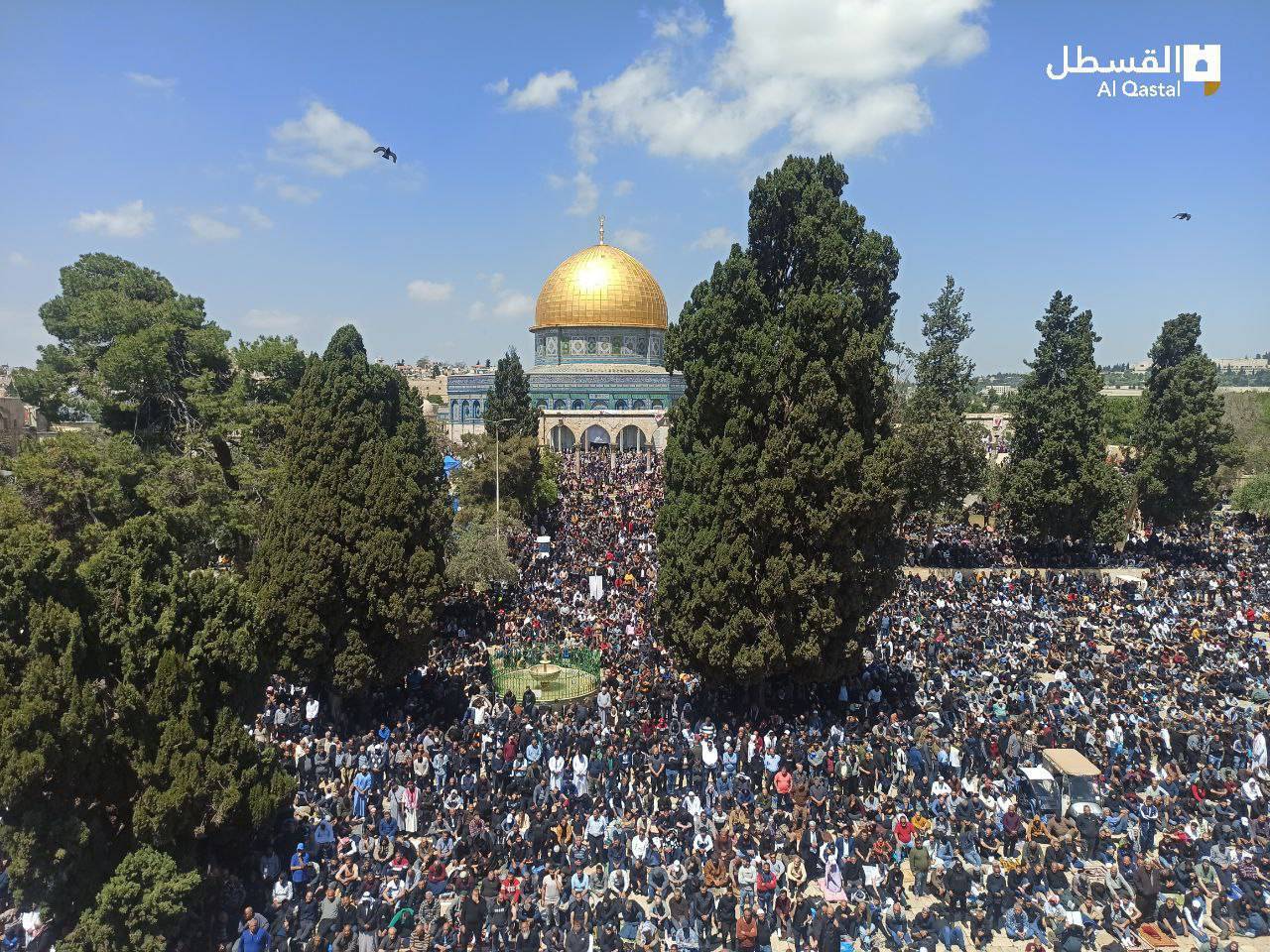 آخرین نماز جماعت ماه رمضان