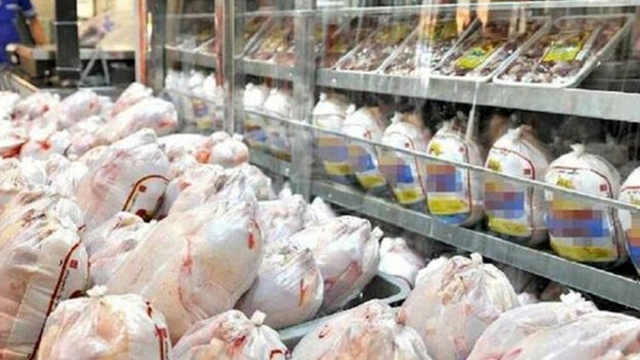 عرضه روزانه ۱۰۰ تُن گوشت مرغ تازه در میادین میوه و تره بار