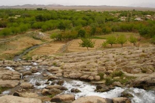 تفرجگاه