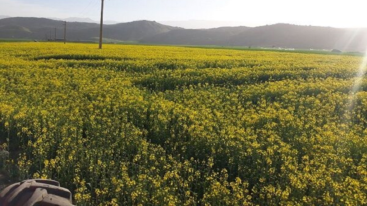 شهرستان صنعتی اراک فعال در حوزه کشاورزی 