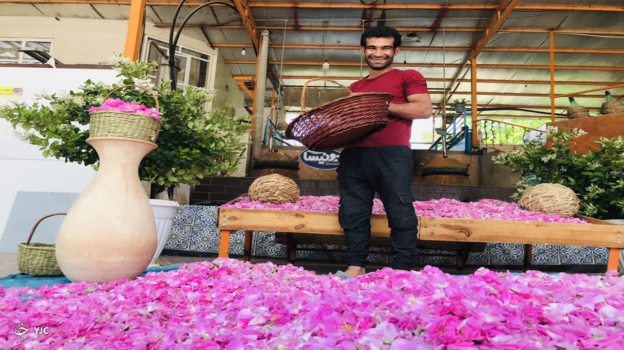 جشنواره گل و گلاب میمند برگزار می‌شود