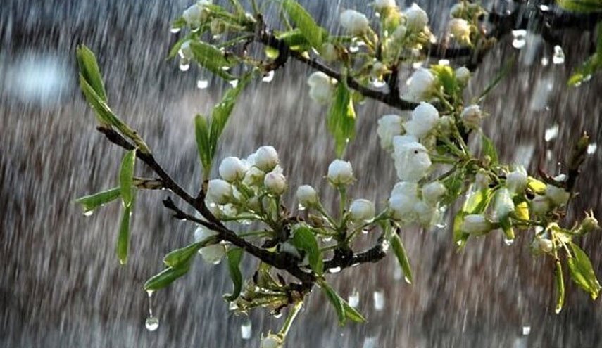 هشدار هواشناسی کشاورزی برای کاهش دما در روزهای آتی
