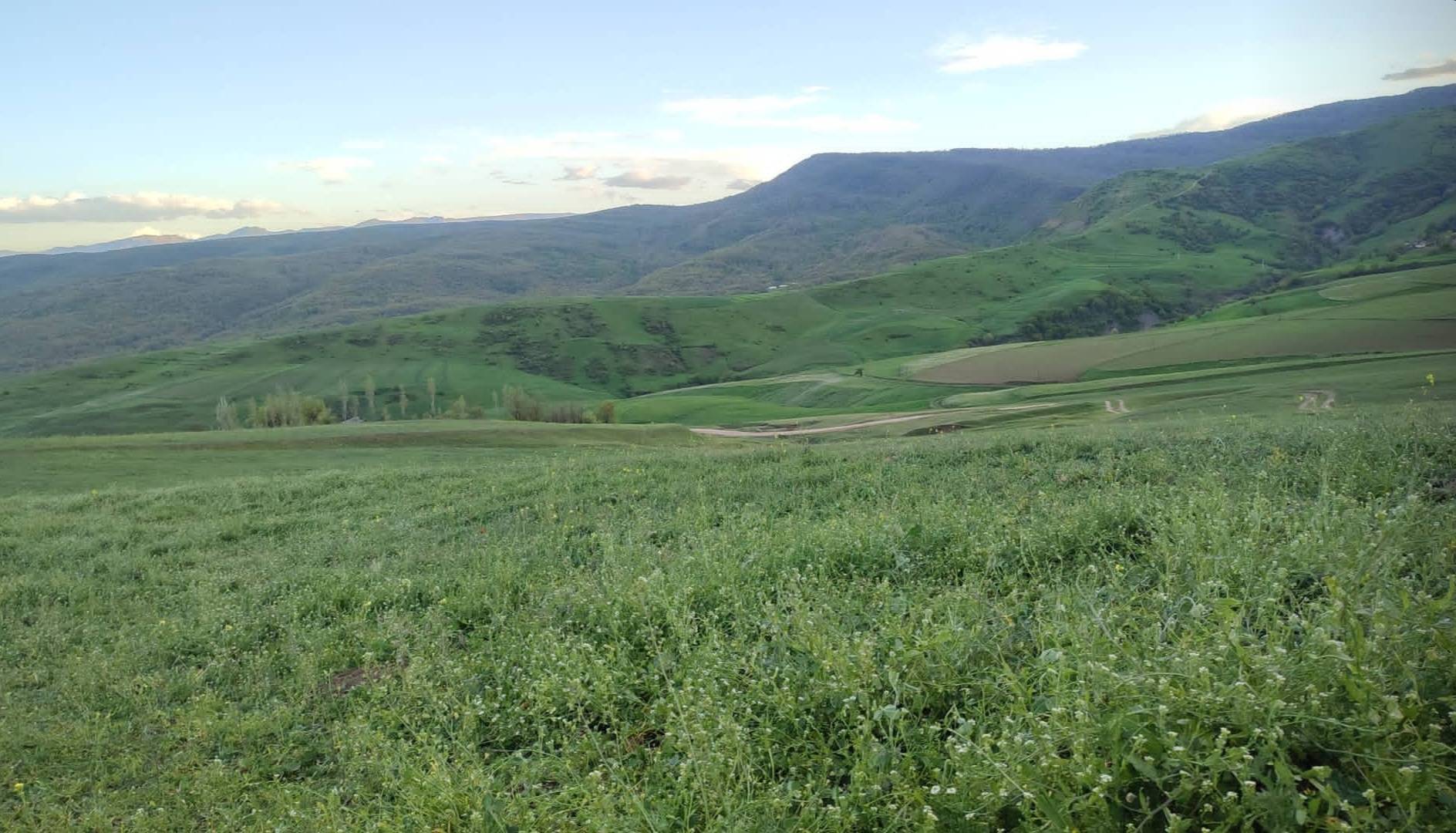 دشت سرسبز بهاری