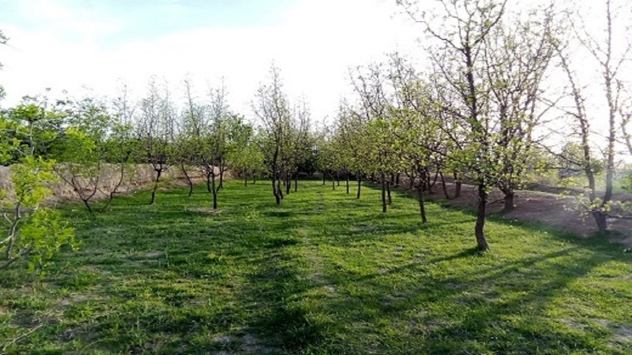 جلوه‌هایی از زیبایی‌های روستای تقاب + تصاویر