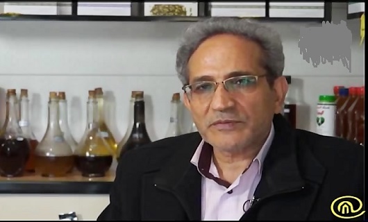 گیاهان بهاره نگین مراتع و دشت های الوند