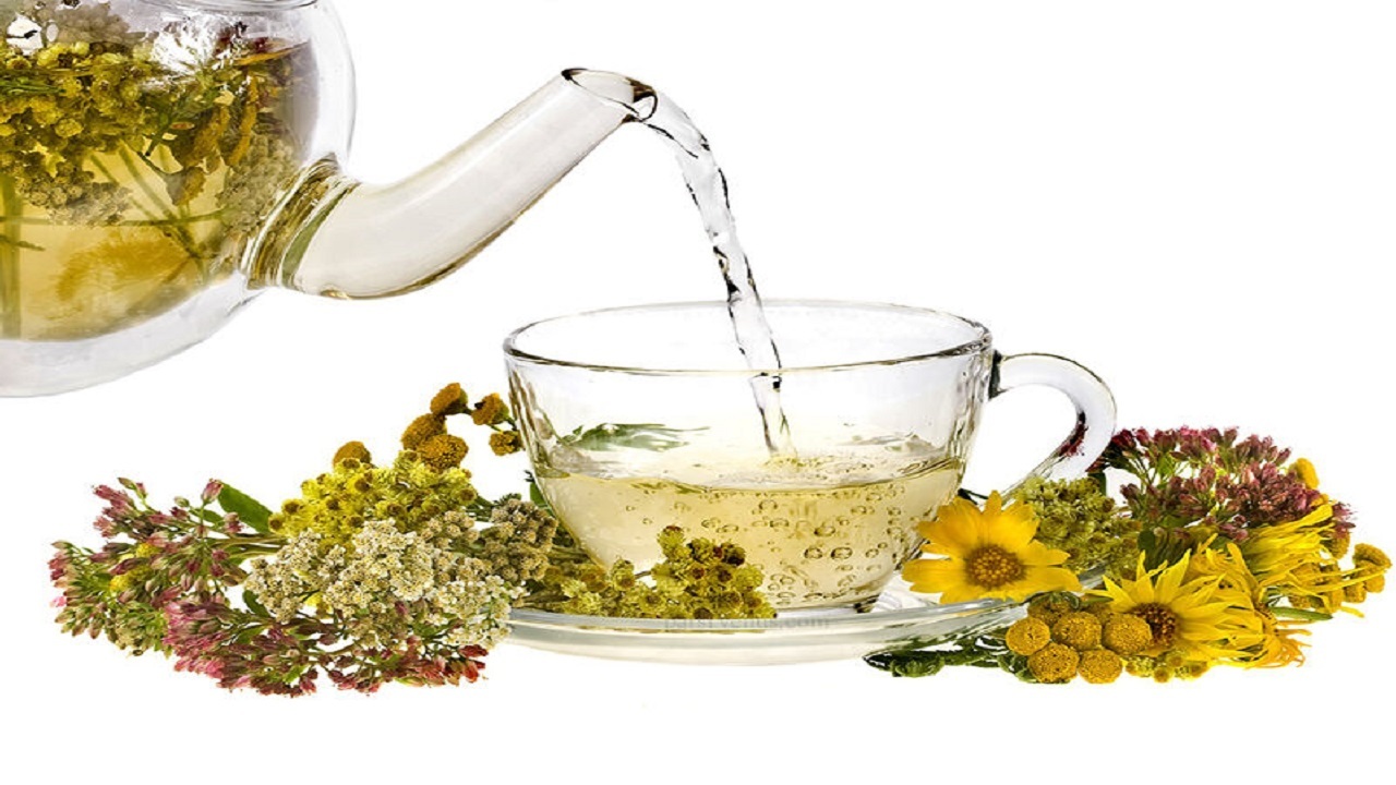 گیاهان خوراکی، هدیه بهاری طبیعت به خراسان شمالی