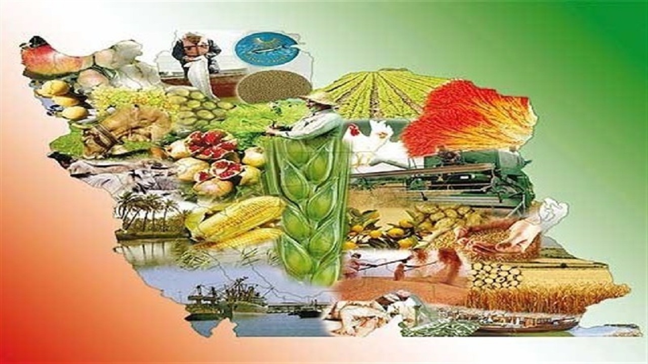 آسیب شناسی تعاونی‌ها و اتحادیه‌های کشاورزی استان یزد