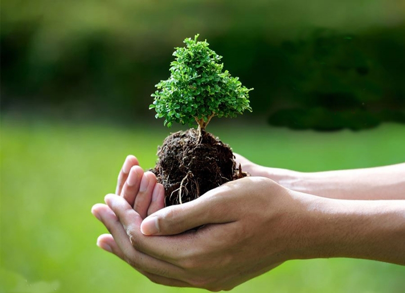 آینده سبز فردیس