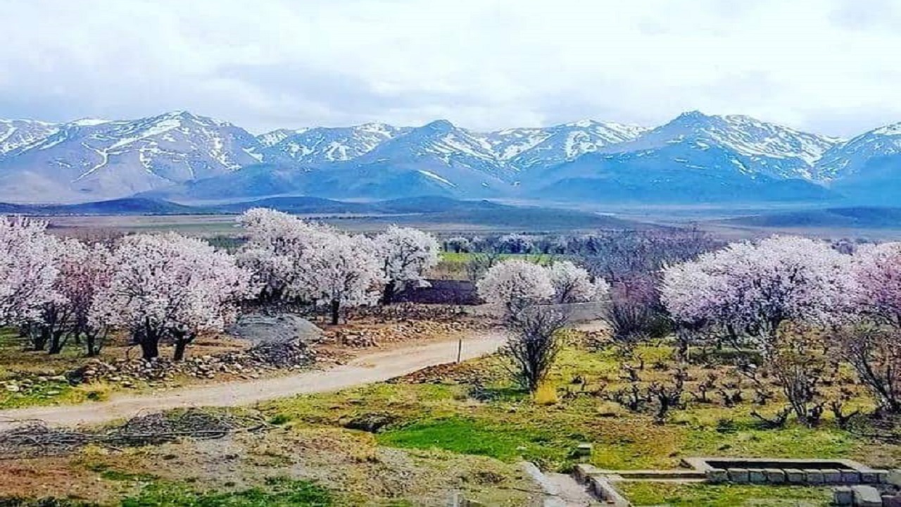 طبیعت بهاری بوانات در لنز دوربین شهروندخبرنگار