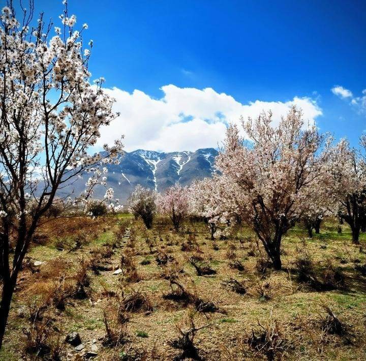 جاذبه های طبیعی