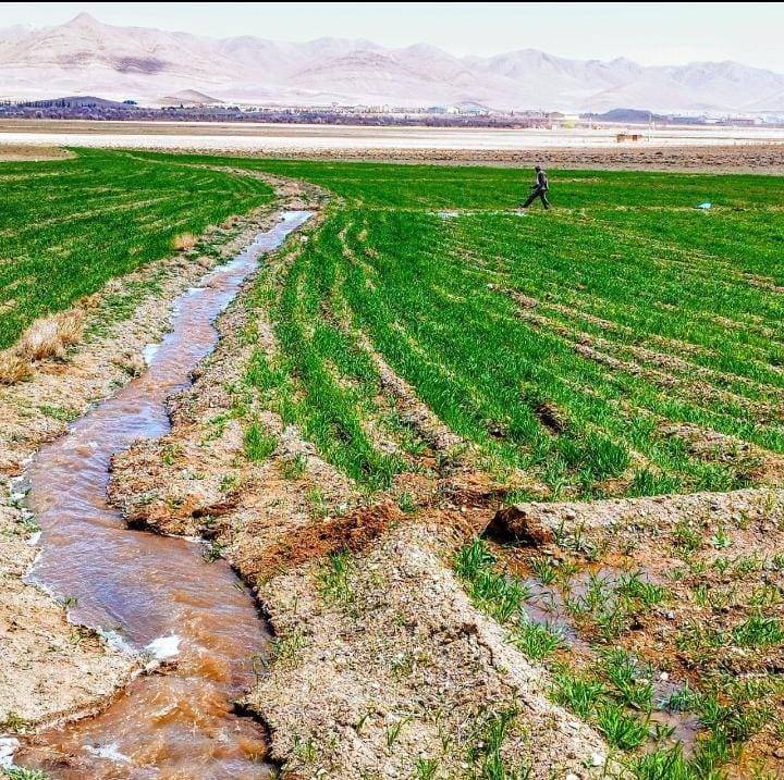دشت سرسبز