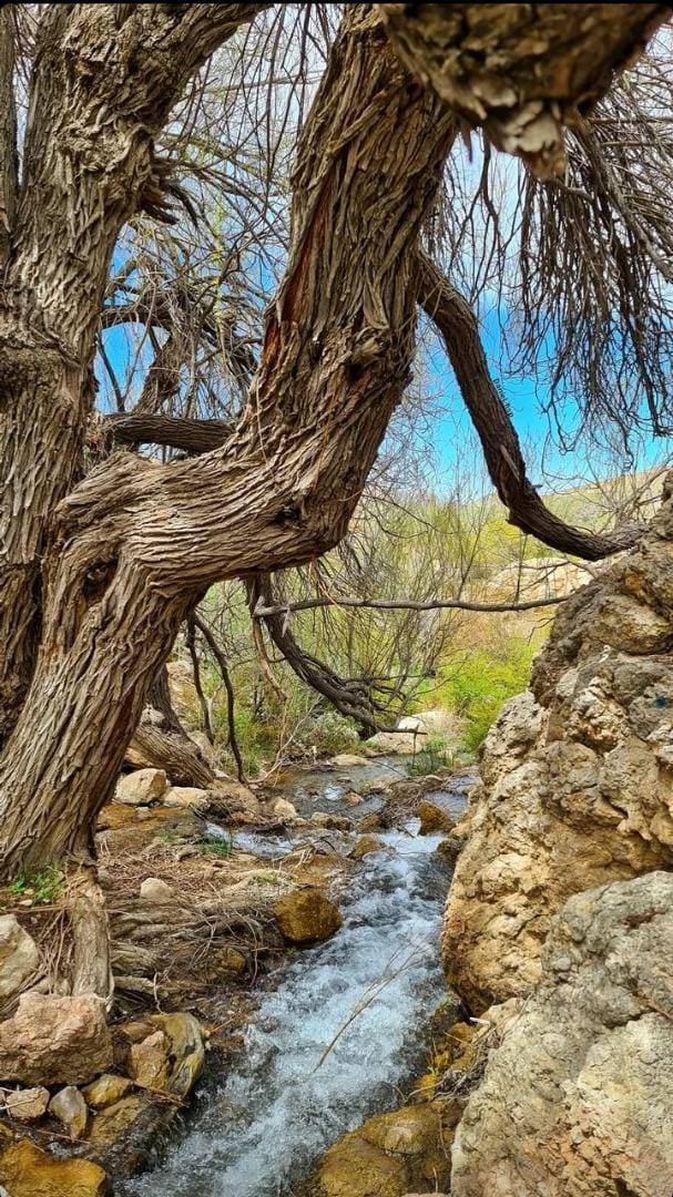 رودخانه