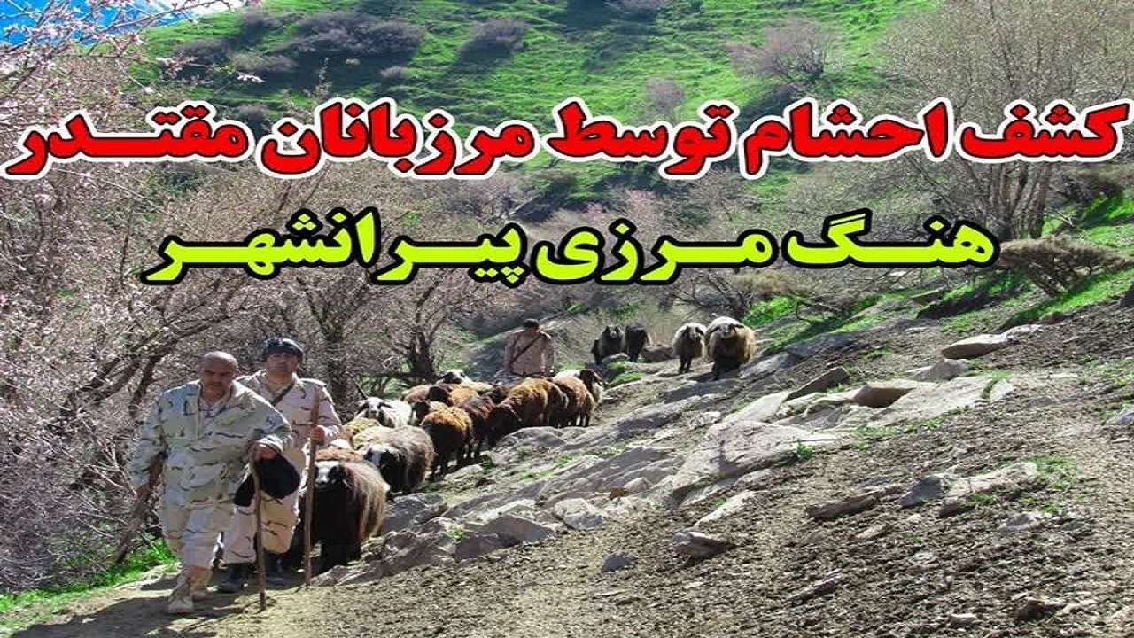 مهار ۲۸۳ راس دام قاچاق در مرز‌های آذربایجان غربی