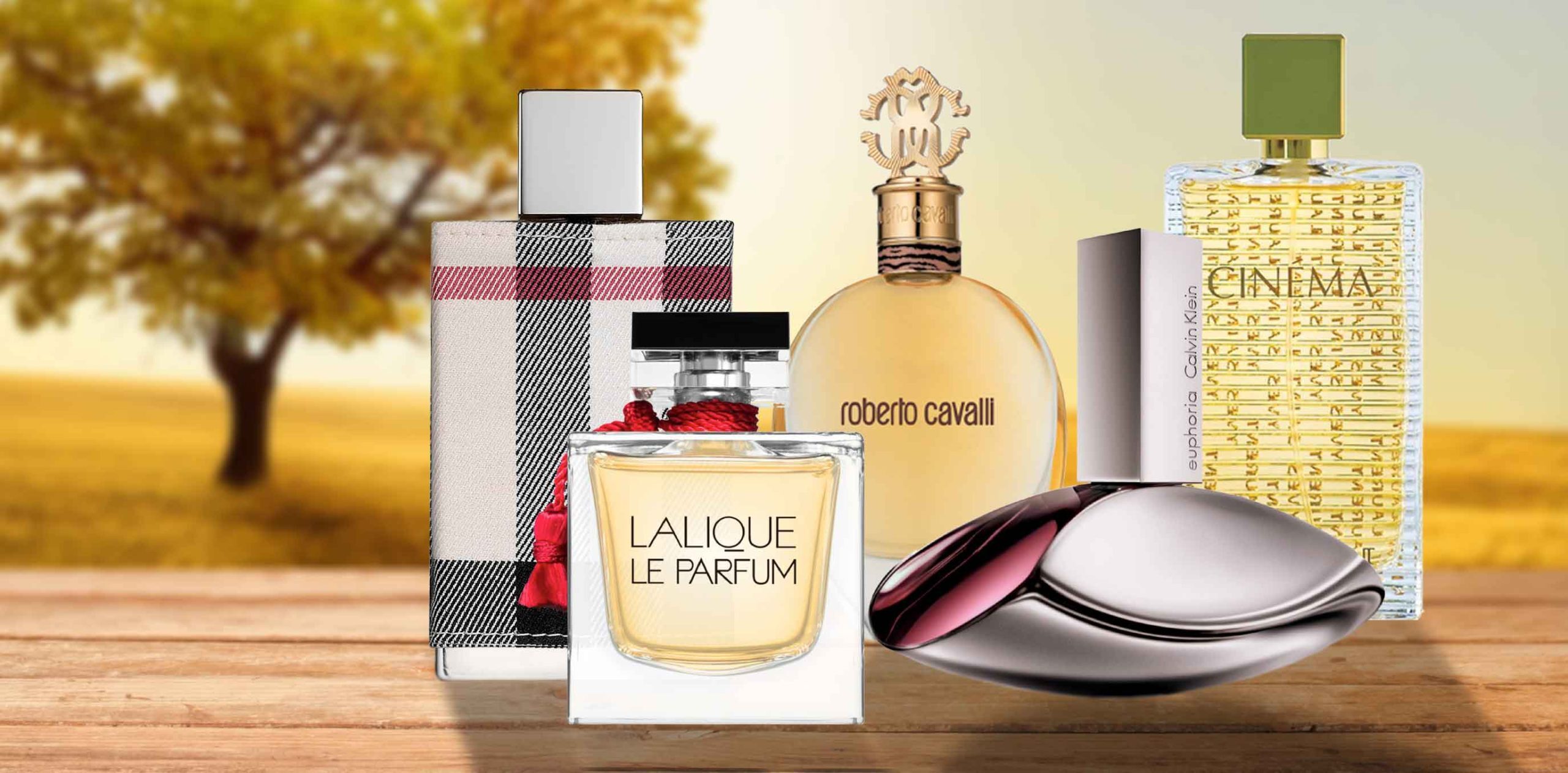 خرید عطر زنانه در بازار امروز