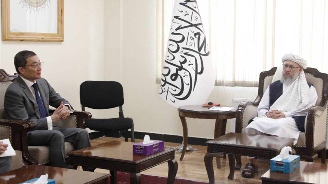 طالبان طرفدار حل مشکلات از راه مذاکره است