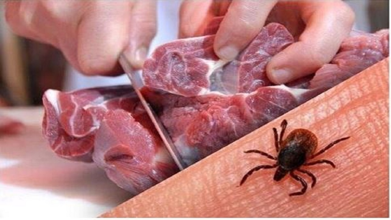 افزایش احتمال سرایت بیماری کریمه کنگو در فصل‌های بهار و تابستان
