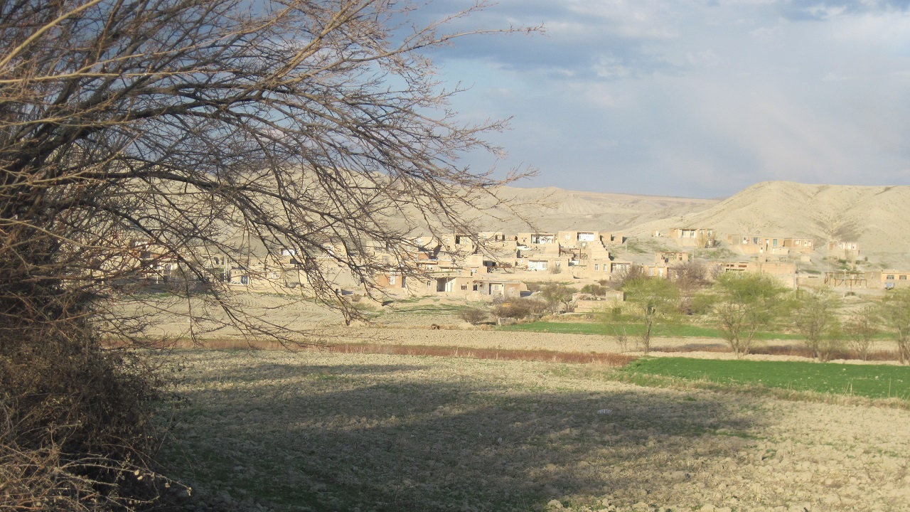 بررسی مشکلات طرح درختکاری در روستای افسرآباد