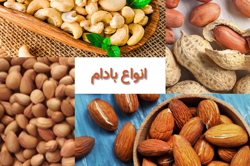 آشنایی با خاصیت‌های بادام‌ها