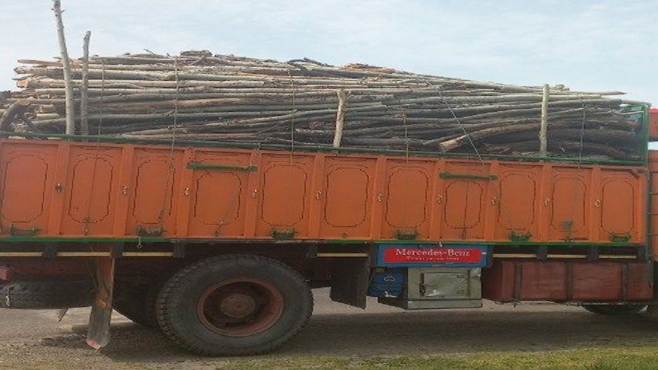 جلوگیری از قاچاق ۱۰ تن چوب جنگلی در سیاهکل