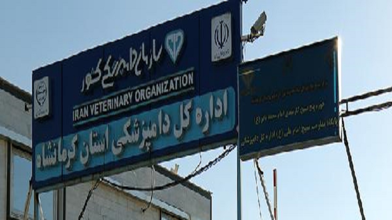 کشف مواد اولیه کارخانه خوراک دام و طیور تاریخ مصرف گذشته  وفرآورده خام دامی