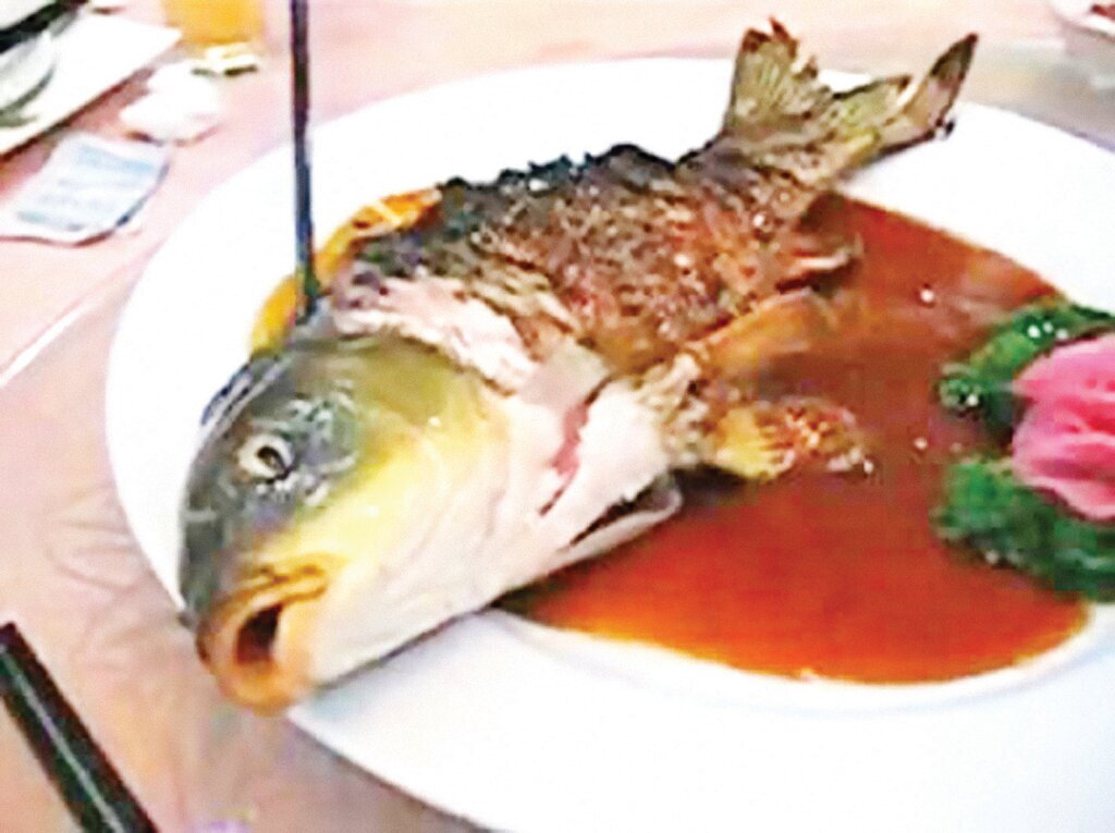 ماهی مرده وزنده