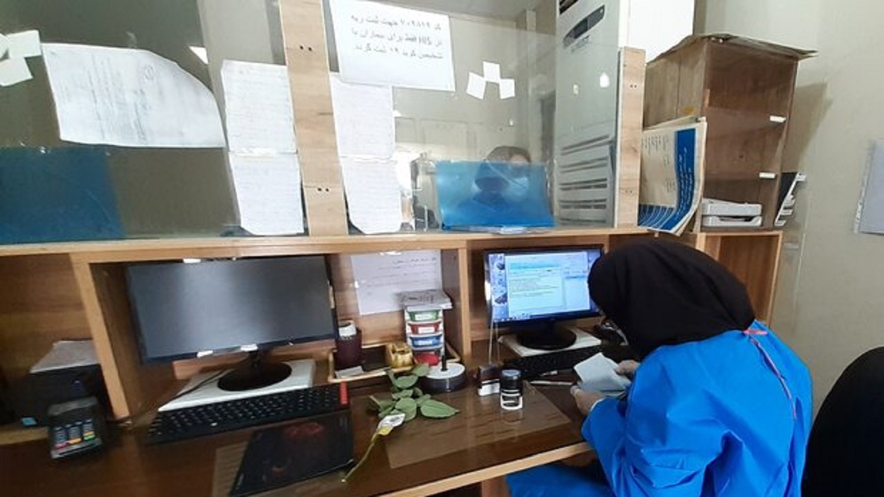 بررسی بیماری‌های زنان در کنگره رادیولوژی