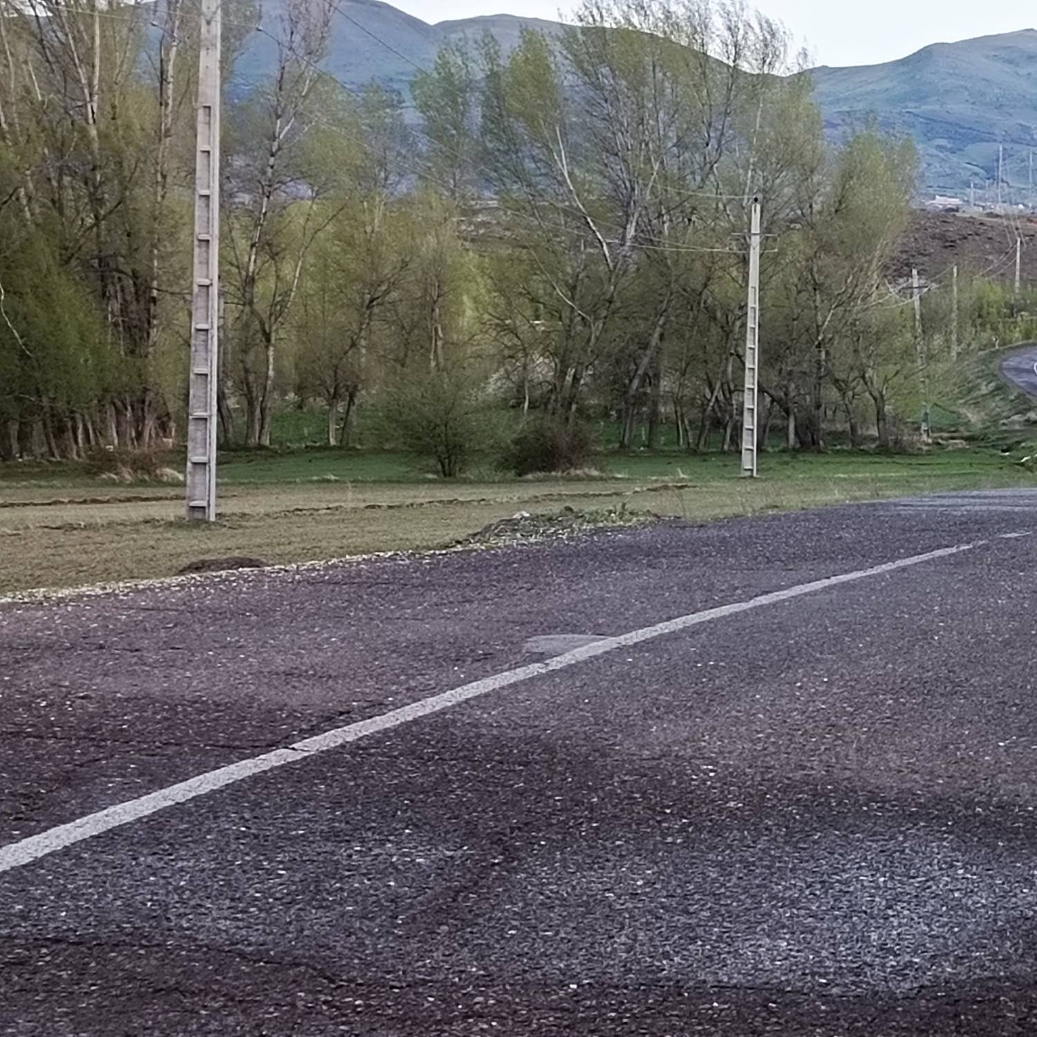 تصاویر روستای رز
