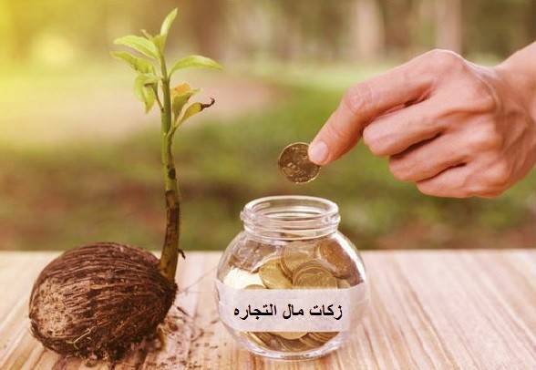 فارسی‌ها بیش از ۱۰۹ میلیارد تومان زکات پرداختند
