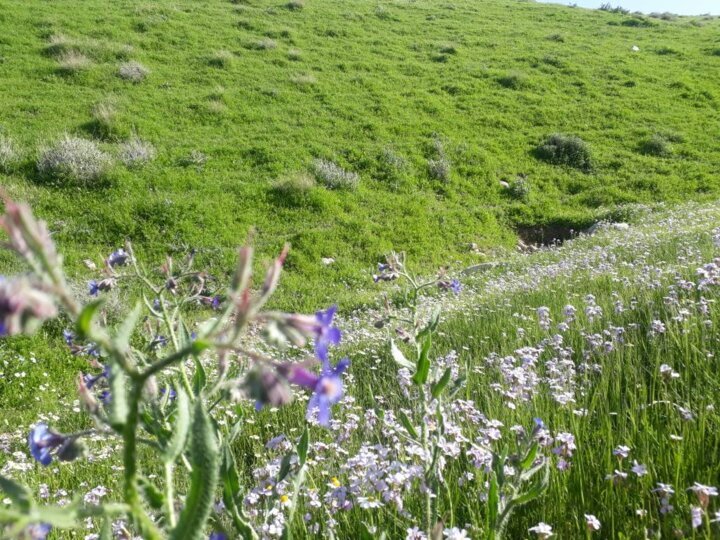 طبیعت ایلام