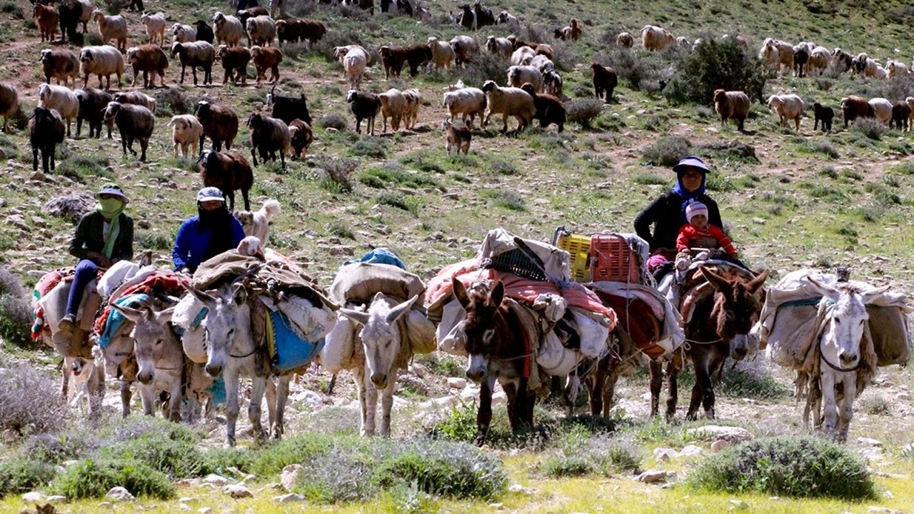 آغاز کوچ عشایر کهگیلویه و بویراحمد از ۲۰ اردیبهشت ماه