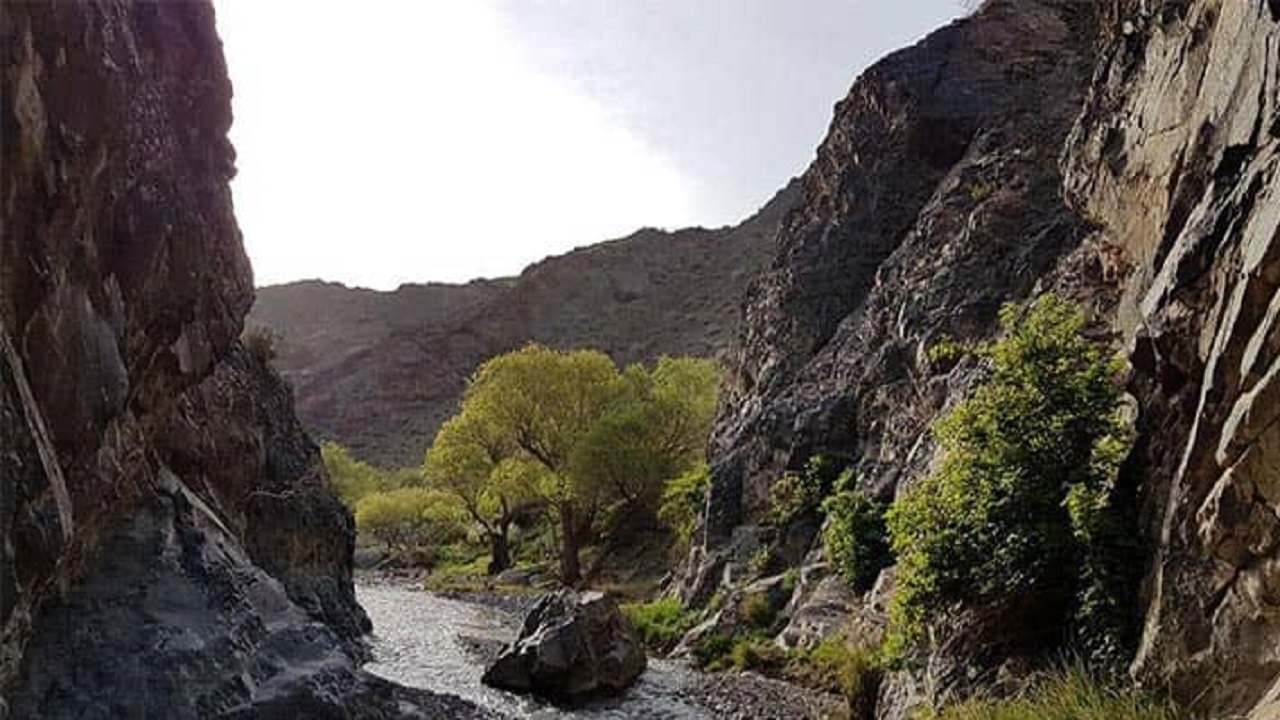 تدوین سند ۲۰ سال توسط اهالی یک روستا + فیلم