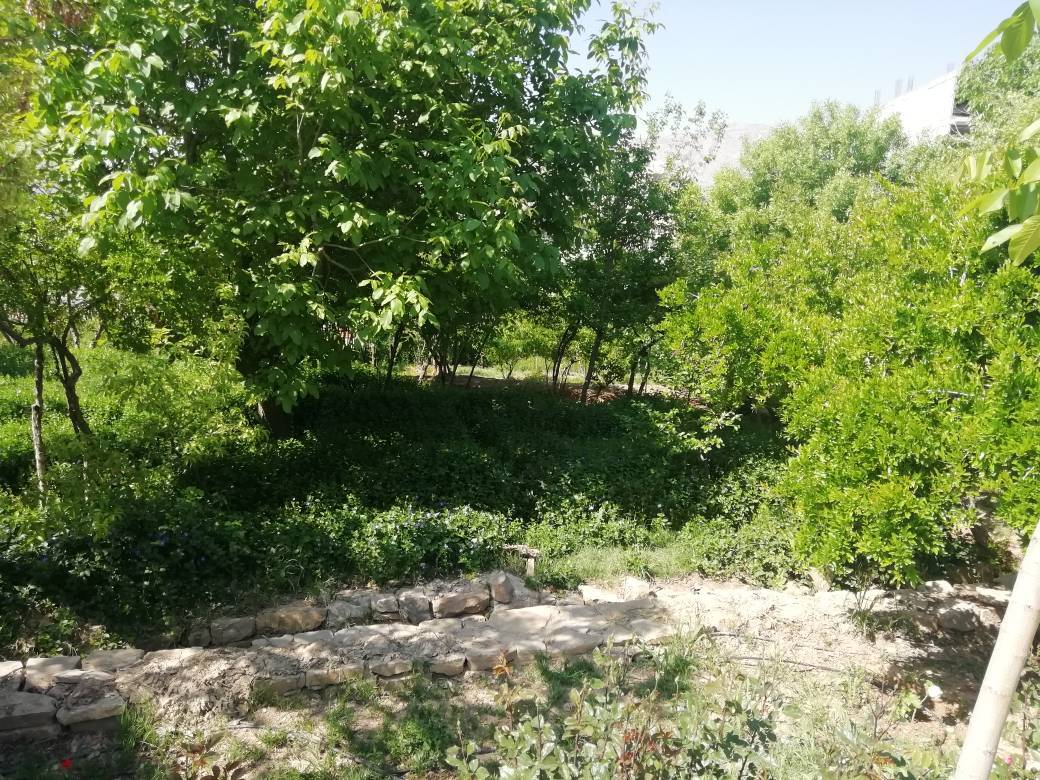 جاذبه های شیراز