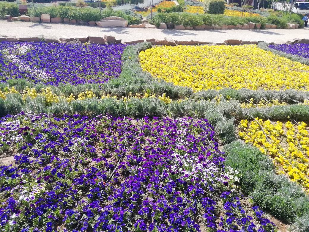 گل های بهاری