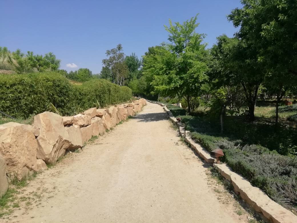 طبیعت شیراز
