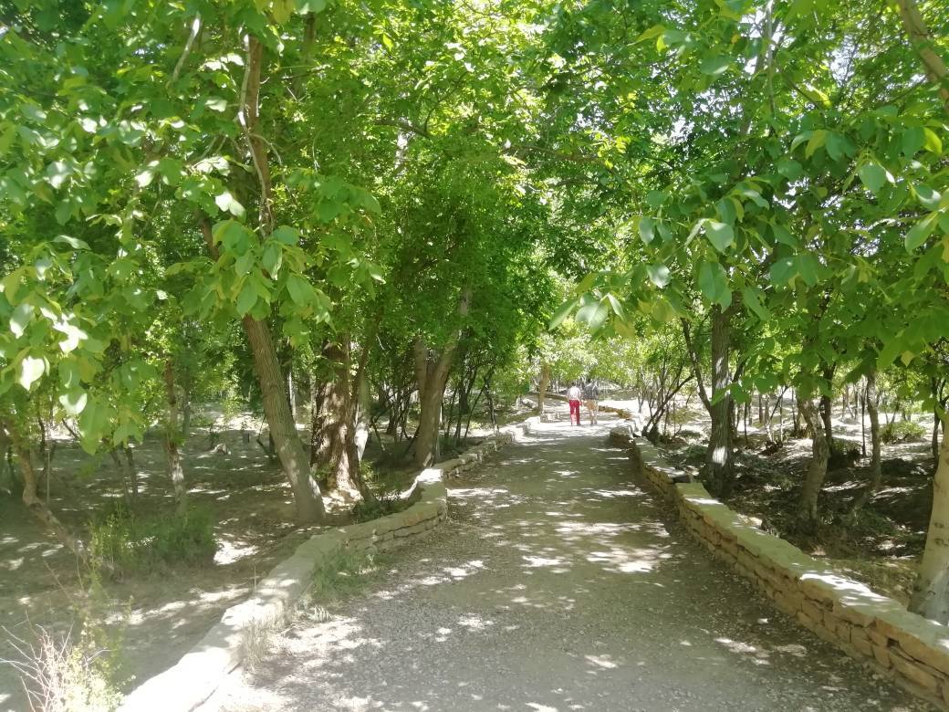 باغ های شیراز