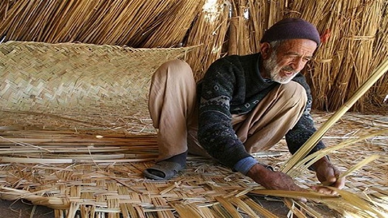 خبر خوش برای مردم سیستان؛ اخذ مجوز واردات گیاه  لوئی از کشور افغانستان