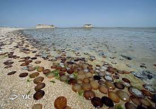 ساحل درخشان ونقره ای