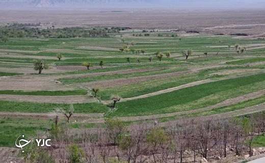 رخ نمایی بهار در خراسان جنوبی + تصاویر