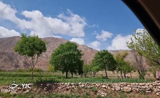 رخ نمایی بهار در خراسان جنوبی + تصاویر