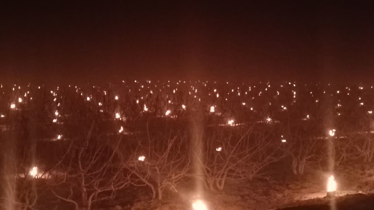 آمادگی کشاورزان شهرستان خاتم برای پیشگیری از سرمازدگی